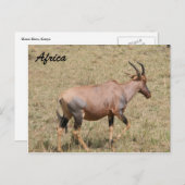 Land Postkarte (Vorne/Hinten)