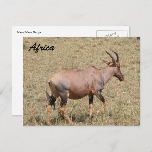 Land Postkarte (Vorne/Hinten)