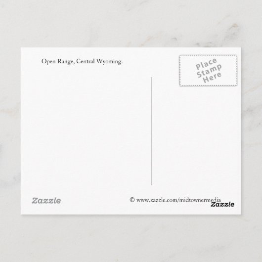 Land Road Open Range Wyoming Postkarte (Rückseite)