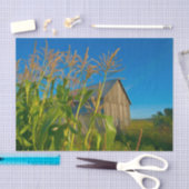 Land Rustikale alte Barn Blue Green Farm Seidenpapier (Handwerk)