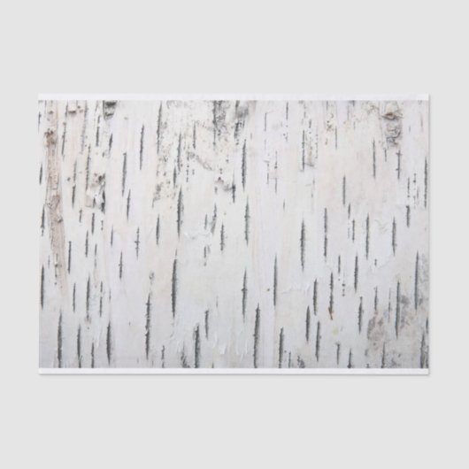 Land Rustikale Birkenbaumbraut Seidenpapier (Vorderseite)