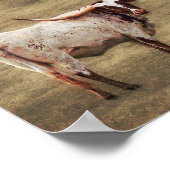 Land Rustikale Fotografie Hochlandkuh Poster (Ecke)