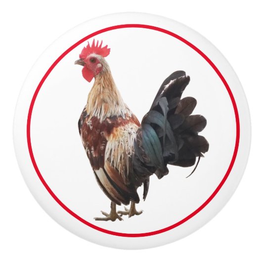 Land Rustikales Landhaus Huhn Keramikknauf (Vorderseite)