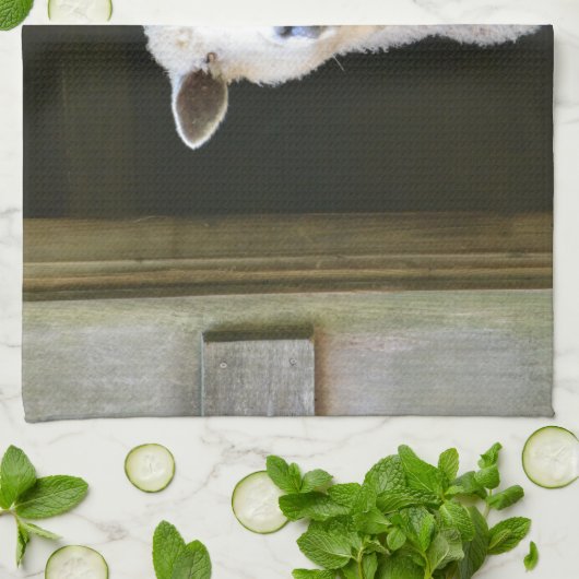 Land-Schafe Handtuch (Gefaltet)