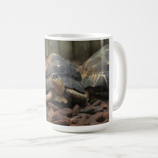 Land-Schildkröte Kaffeetasse (VorderseiteRechts)