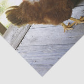 Land Seidenpapier (Ausschnitt)