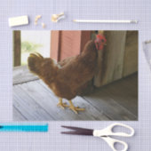 Land Seidenpapier (Handwerk)