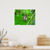 Land Snail auf einem Blatt Poster (Küche)