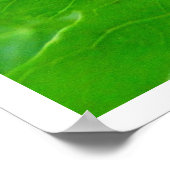 Land Snail auf einem Blatt Poster (Ecke)