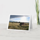 Land Sonnenaufgang Landschaft Karte (Vorderseite)