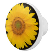 Land-Sonnenblume-runder Keramik-Zug Keramikknauf (Rechts)