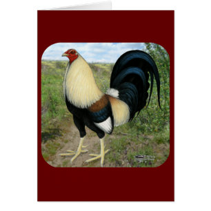 Land-Straßen-Kampfhahn