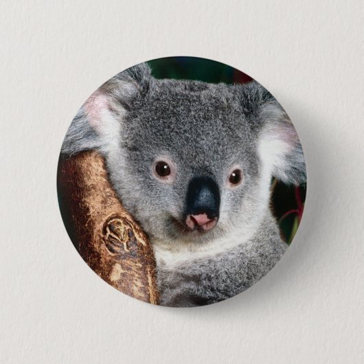 Land-Tier Koala-Bärn-Australiens Outback niedlich Button (Vorderseite)