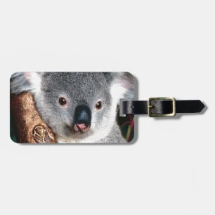 Land-Tier Koala-Bärn-Australiens Outback niedlich Gepäckanhänger