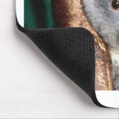 Land-Tier Koala-Bärn-Australiens Outback niedlich Mousepad (Ecke)