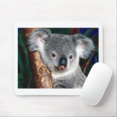 Land-Tier Koala-Bärn-Australiens Outback niedlich Mousepad (Mit Mouse)