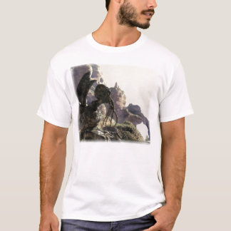 Land vom verlorenen T-Shirt