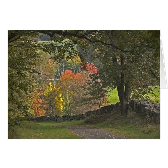 Land-Weg (Vorderseite (Horizontal))