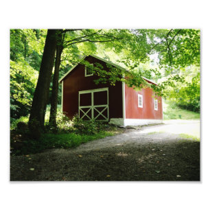Land-Weg 10 x photographischer Druck 8