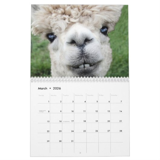 Landamerikanische Landtiere Kalender (Mär 2026)