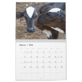 Landamerikanische Landtiere Kalender (Feb 2026)