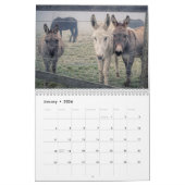 Landamerikanische Landtiere Kalender (Jan 2026)