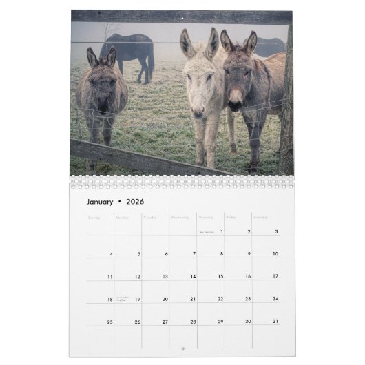 Landamerikanische Landtiere Kalender (Jan 2026)