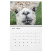 Landamerikanische Landtiere Kalender (Mär 2027)