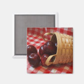 Landäpfel auf einem karierten Tabletts Magnet (Vorderseite/Rückseite)