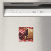 Landäpfel auf einem karierten Tabletts Magnet (In Situ (Geschirrspüler))