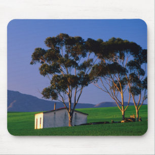 Landarbeiterkottage und Weizenfelder, Overberg Mousepad