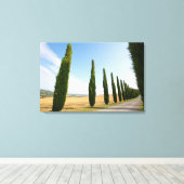 Landbaumstraße, Toskana Leinwanddruck (Insitu (Holzboden))