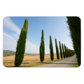 Landbaumstraße, Toskana Magnet (Horizontal)