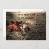 Landbebauung der sonnigen Kuh Ankündigung (Vorne/Hinten)