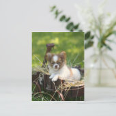 LandBumpkin Postkarte (Stehend Vorderseite)