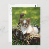 LandBumpkin Postkarte (Vorne/Hinten)