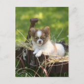 LandBumpkin Postkarte (Vorderseite)