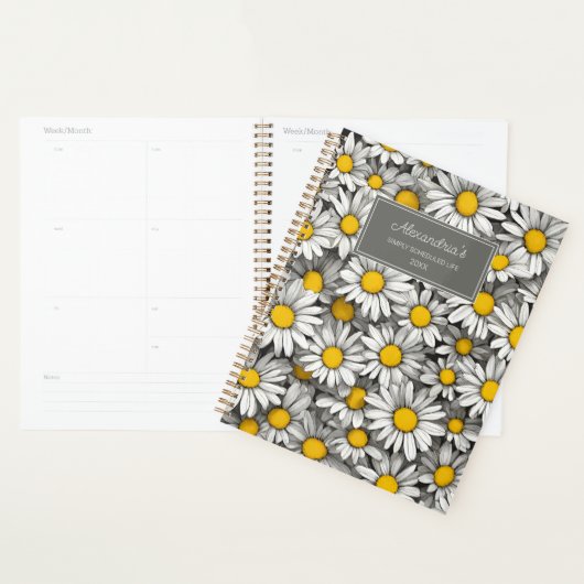 Landdaisies Planer (Anzeige)