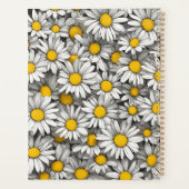 Landdaisies Planer (Rückseite)