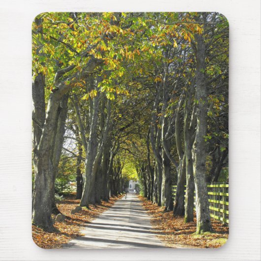 Landebahn auf den Kanaren Jersey Mousepad (Vorne)
