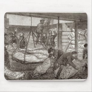 Landendes australisches gefrorenes Fleisch Mousepad
