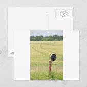 Länderbriefkasten Postkarte (Vorne/Hinten)