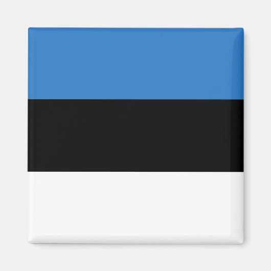 Länderflagge Estlands Magnet (Vorne)