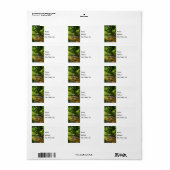 Ländergruppenadressen Adressaufkleber (Vorne)