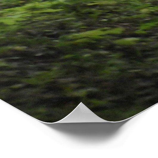 Ländergruppenposter Poster (Ecke)