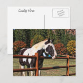 LÄNDERPFERD POSTKARTE (Vorne/Hinten)