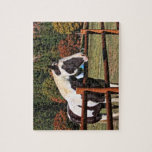 LÄNDERPFERD PUZZLE (Vertikal)