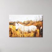 LÄNDERPFERDE Leinwand Kunst (Vorderseite)