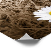 Länderspezifische Blume Poster (Ecke)