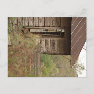 Länderstall #3 postkarte